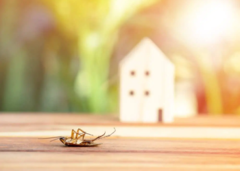 Фото: Shutterstock