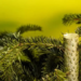 Фото: Shutterstock