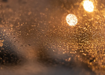 Фото: Shutterstock