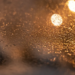Фото: Shutterstock