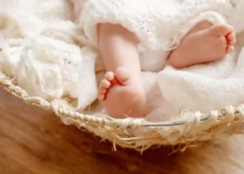 Фото: Shutterstock