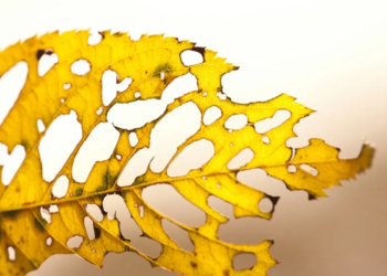 Фото: Shutterstock