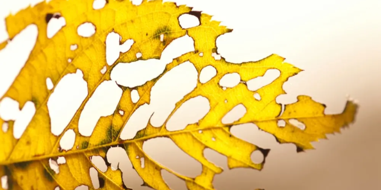 Фото: Shutterstock