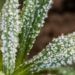 Фото: Shutterstock