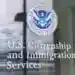 USCIS получит право на аресты и оружие