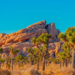 Фото: Shutterstock