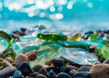 Фото: Shutterstock