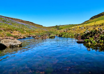 Фото: Shutterstock
