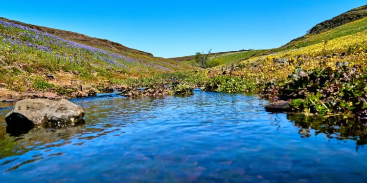 Фото: Shutterstock
