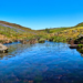Фото: Shutterstock