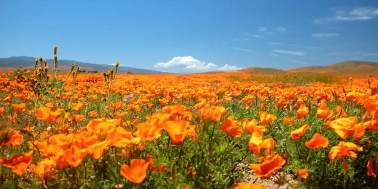 Фото: Shutterstock