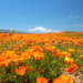 Фото: Shutterstock