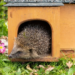 Фото: Shutterstock