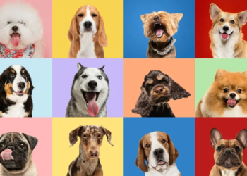 Фото: Shutterstock