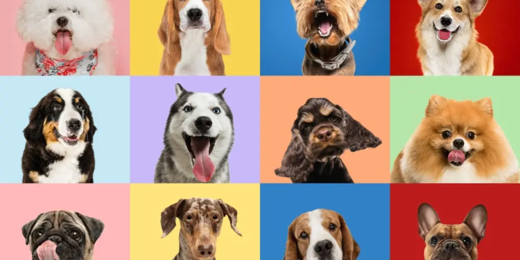 Фото: Shutterstock