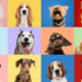 Фото: Shutterstock