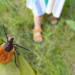 Фото: Shutterstock