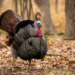 Фото: Shutterstock