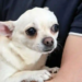 Фото: Shutterstock