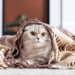 Фото: Shutterstock