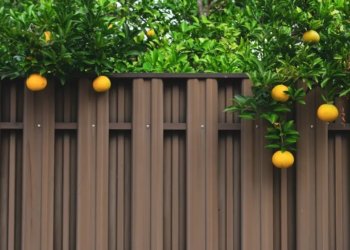 Фото: Shutterstock