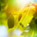 Фото: Shutterstock