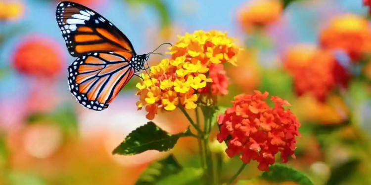 Фото: Shutterstock