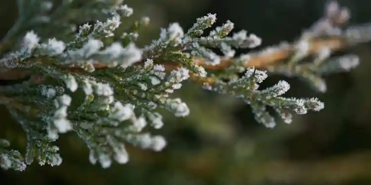 Погода в Сакраменто