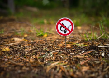Фото: Shutterstock