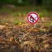 Фото: Shutterstock