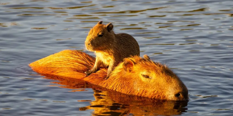 Фото: Shutterstock