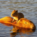 Фото: Shutterstock