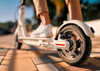 Фото: Shutterstock