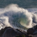 Фото: Shutterstock