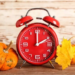 Фото: Shutterstock