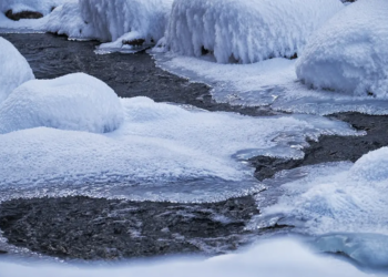 Фото: Shutterstock