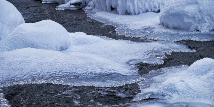 Фото: Shutterstock