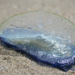 Фото: Shutterstock