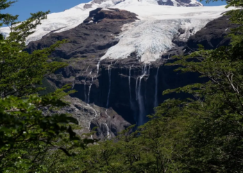 Фото: Shutterstock