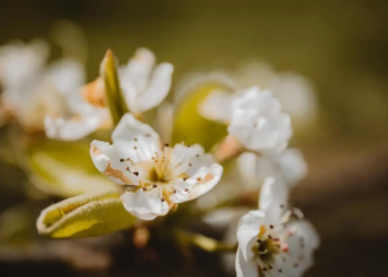 Фото: Shutterstock