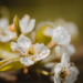 Фото: Shutterstock