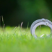 Фото: Shutterstock