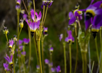 Фото: Shutterstock