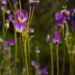 Фото: Shutterstock