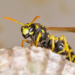 Фото: Shutterstock