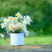 Фото: Shutterstock