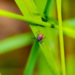 Фото: Shutterstock