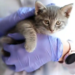 Фото: Shutterstock