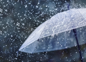 Фото: Shutterstock