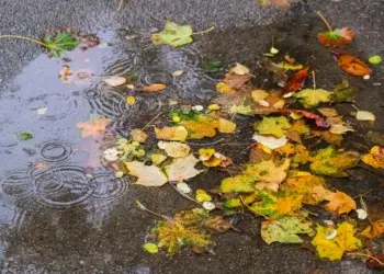 Погода в Сакраменто